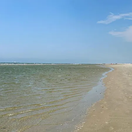 2 Bedroom Stunning In Lejlighed *